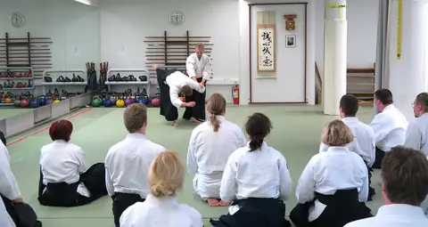 Martial arts (illustrative photo)